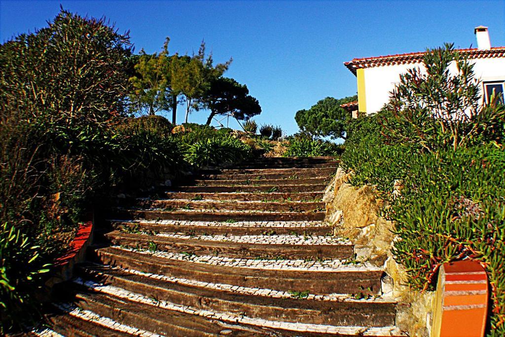 Quinta Da Torre - Obidos Country House エクステリア 写真